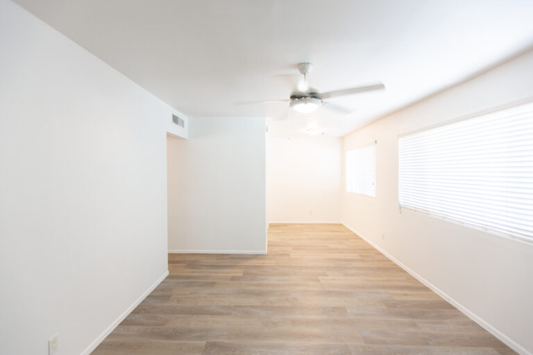 jkaXi3YQZnYre0YE__YP_9012 (1)